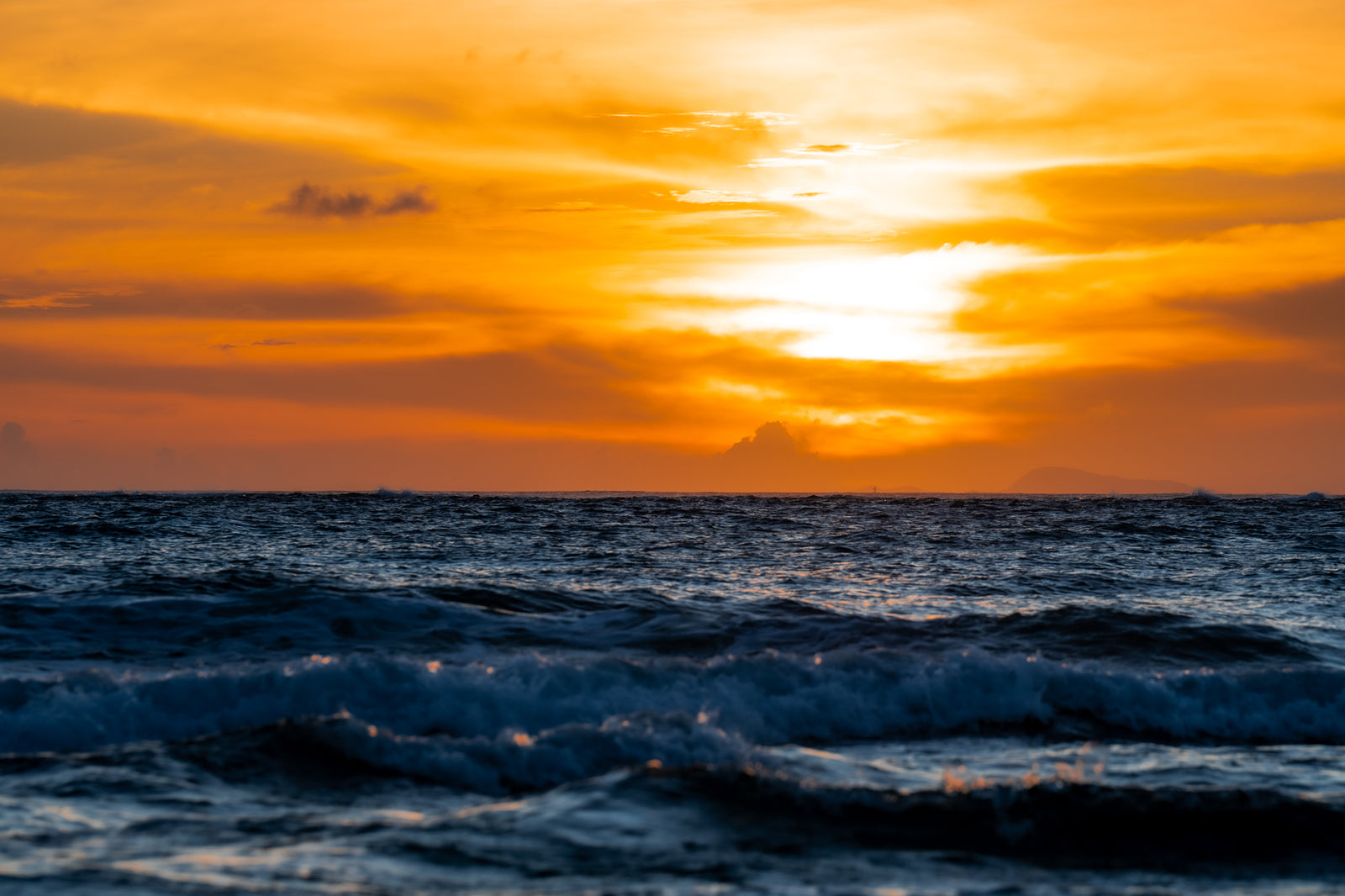 Kujira Whisky: The Spirit of Okinawa